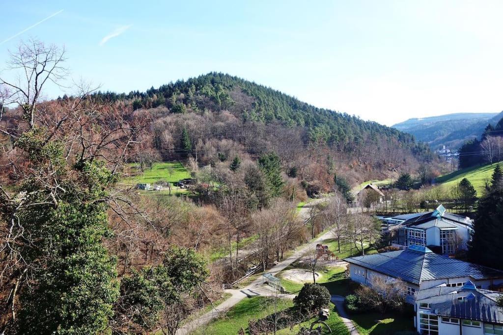 Apartment With Panoramic Views In The Black Forest แกร์นสบาค ภายนอก รูปภาพ